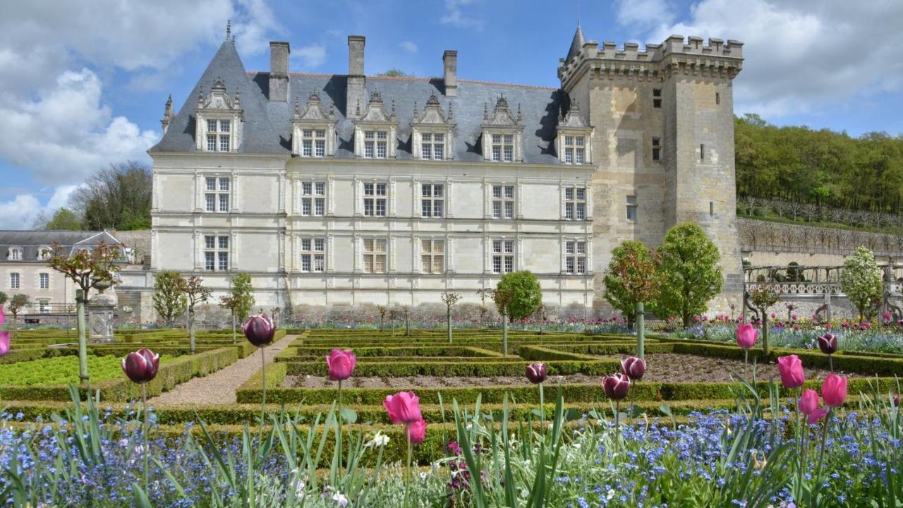 Veigné L'Aigrette Bed & Breakfast エクステリア 写真