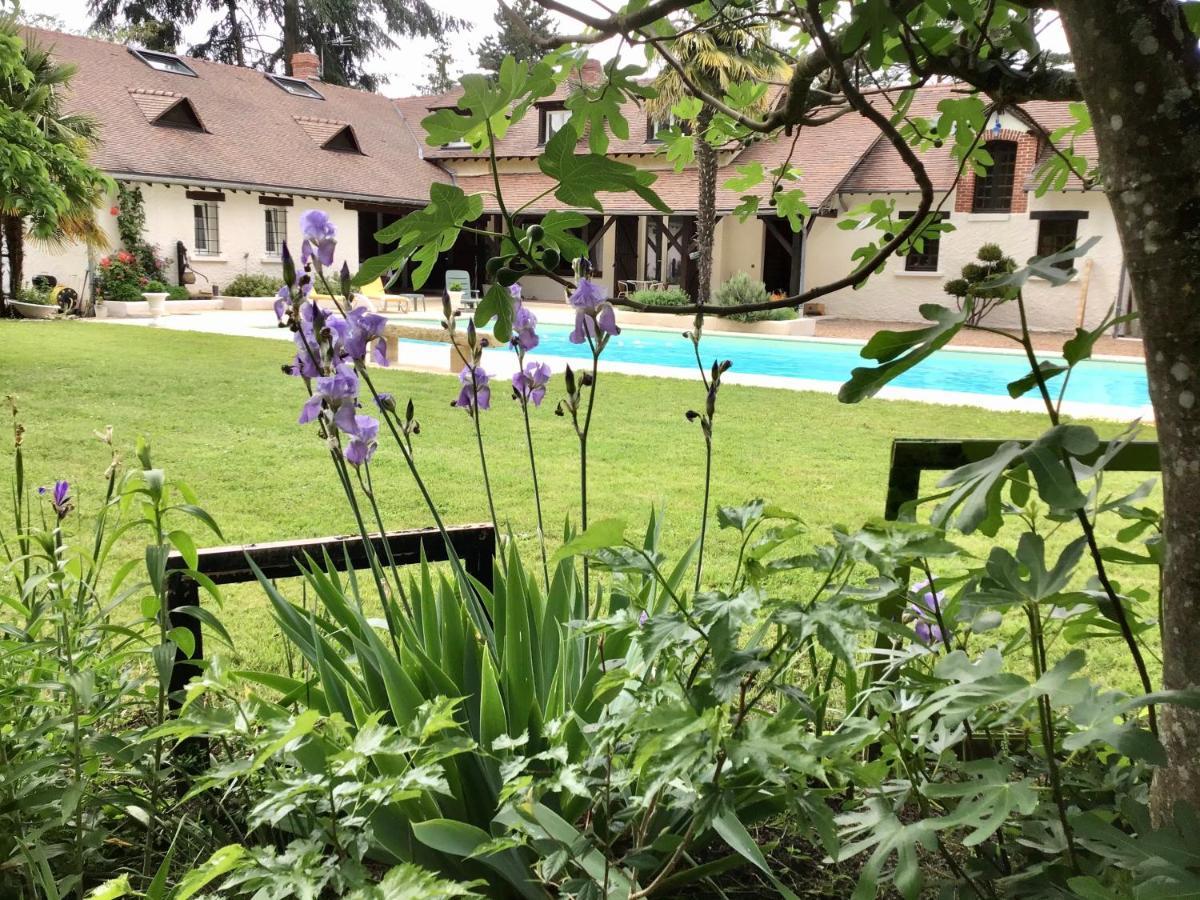 Veigné L'Aigrette Bed & Breakfast エクステリア 写真
